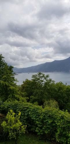 Apartamento Green Village Kotor