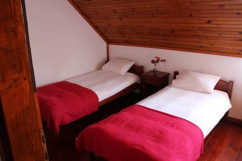 Hostel Hikers Den