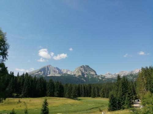 Hostal Apartman "teodora"