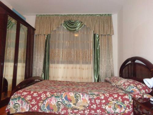 Apartment Karadzica 1