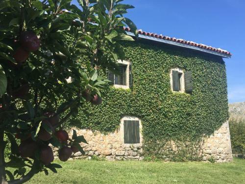 Posada Old House Nilovic