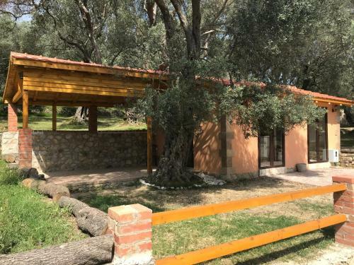 Lodge Olive Paradise