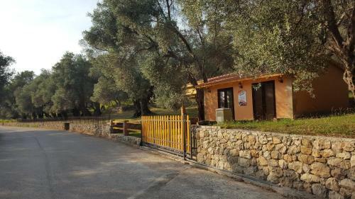 Lodge Olive Paradise