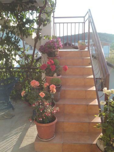 Apartmani Dado