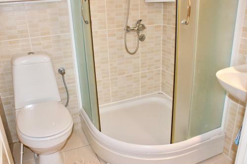 Studio Apartments Morinj