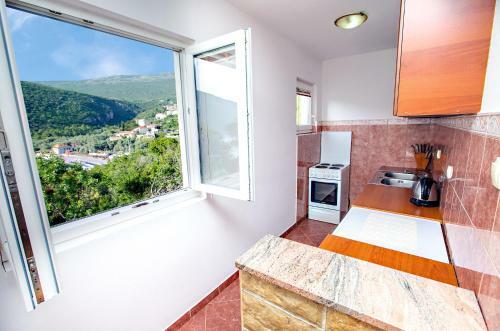 Apartments Gojkovic