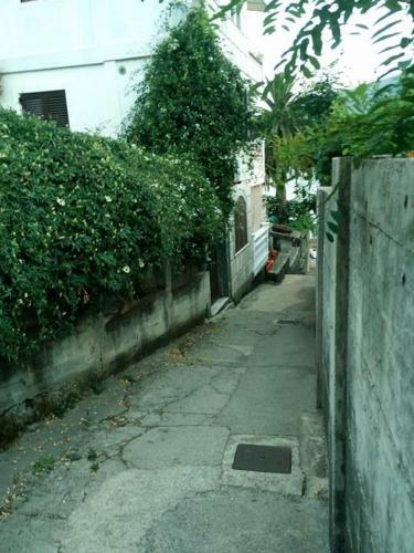 Apartman Na Obali