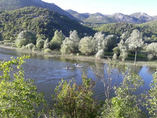 Apartman Sofranac