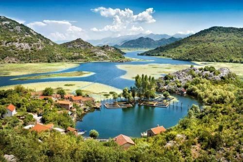 Apartman Sofranac