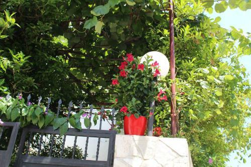 Hostal Apartments Gazi