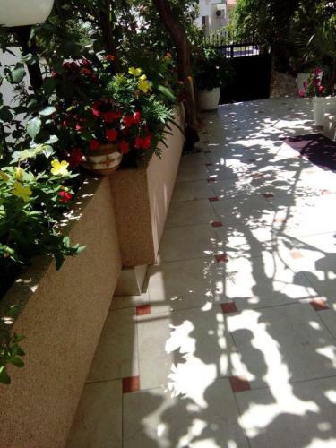 Hostal Apartments Gazi