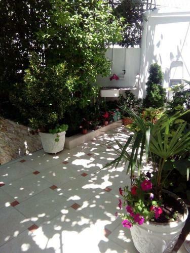 Hostal Apartments Gazi