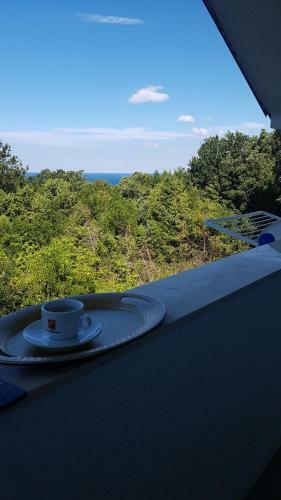 Apartments Villa Ebra