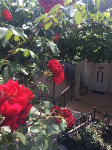 Apartman Nina