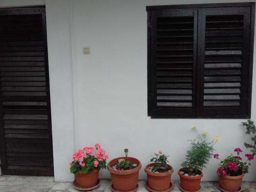 Hostal Katuri? Rooms