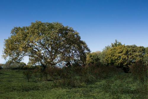 Agroturismo Rancho Los Madro�os