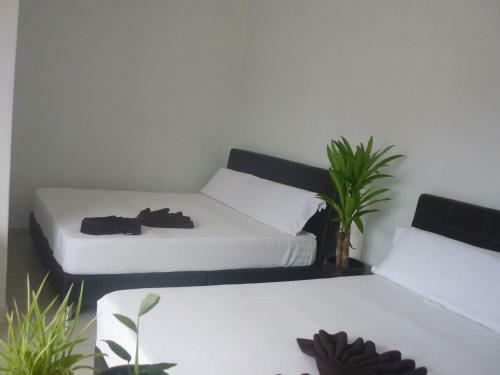 Hotel Paka Inn