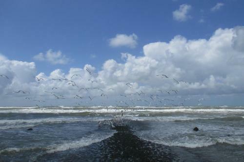 Lilly Aan Zee
