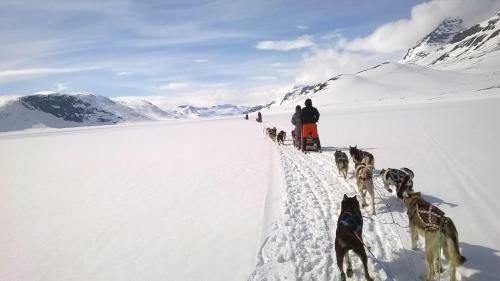 Hotel Bygdin H�yfjellshotell