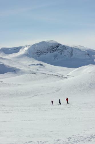 Hotel Bygdin H�yfjellshotell