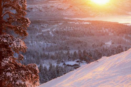 Bj�rnfjell Mountain Lodge
