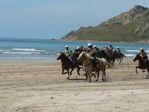 Posada Tolaga Bay Inn