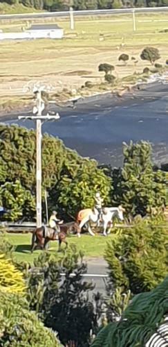 Mokau Motels