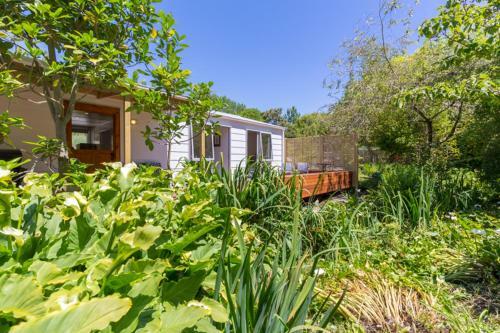 Tui Cottage