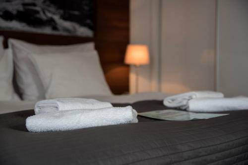 Aparthotel Flinski Sport & Spa