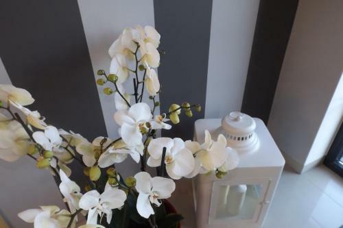 Apartamento Willa Port