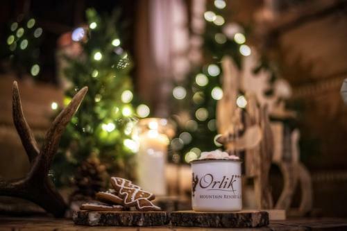 Hostal Pensjonat Orlik Mountain Resort&spa