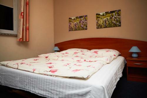 Hostal Hotel Vanillia