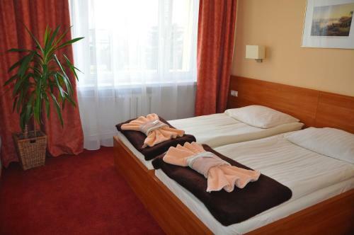 Hotel P?onia