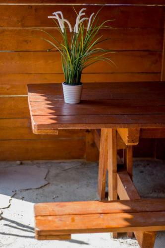 Hostal Willa Bryza Rewa
