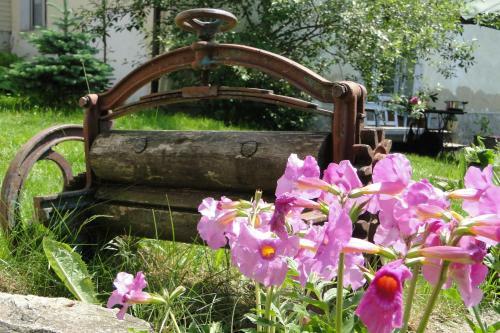 Agroturismo Roman�wka