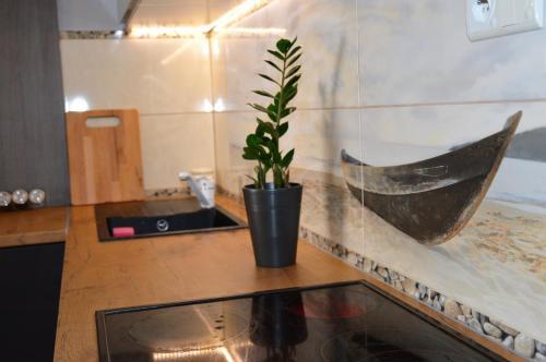 Hostal Dworek Karwia Wiosenna 8