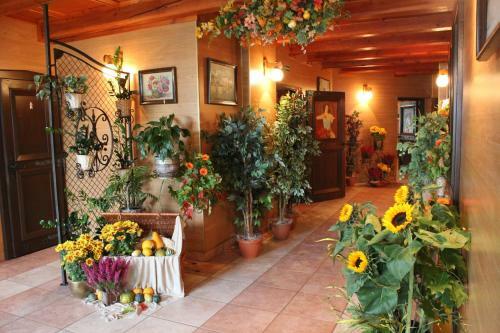 Hotel Restauracja Parkowa - Noclegi