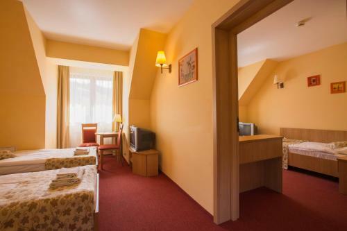 Ski Hotel