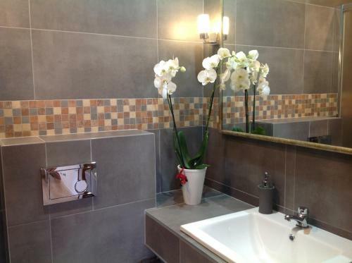 Hostal Go?ciniec Pod Markizami