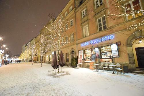 Elegant Apartment Old Town