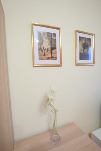Elegant Apartment Old Town