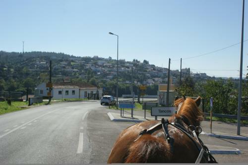 Agroturismo Quinta Ribeiro Tanquinhos