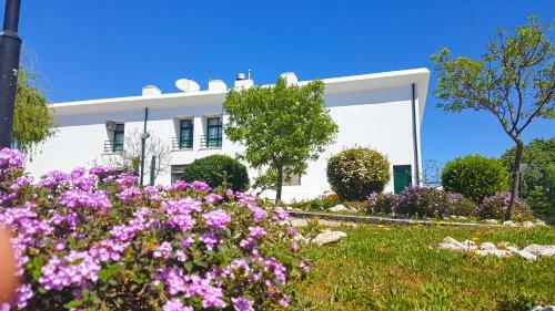 Hotel Vila De Rei