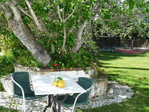 Bed & Breakfast Quinta Quinze