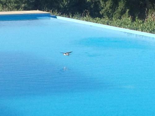 Agroturismo Monte Das Texugueiras