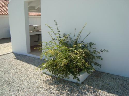 Agroturismo Monte Das Texugueiras