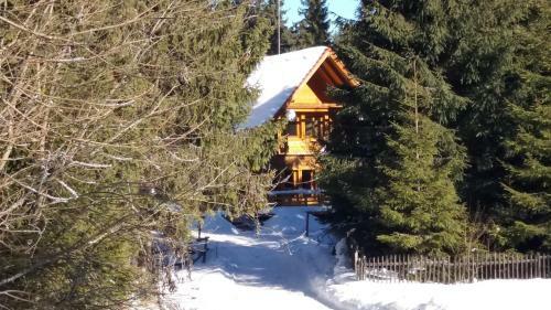 Bed & Breakfast Mofetta Panzi�