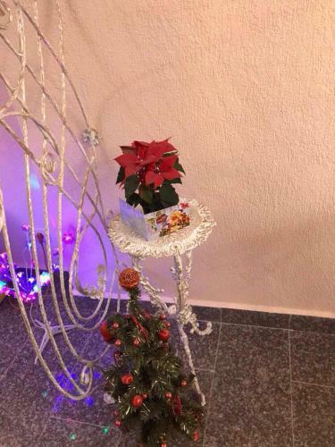 Hostal Pensiunea Sabina Predeal