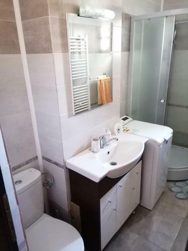 Apartament Alexandru