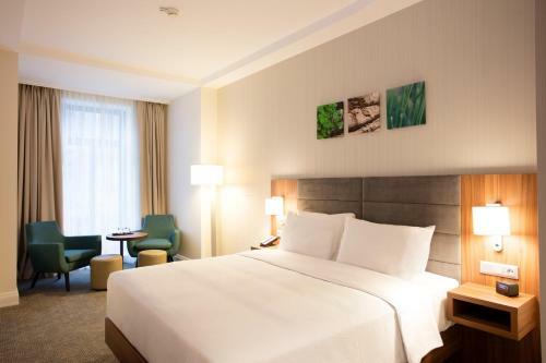 Hotel Hilton Garden Inn Bucharest